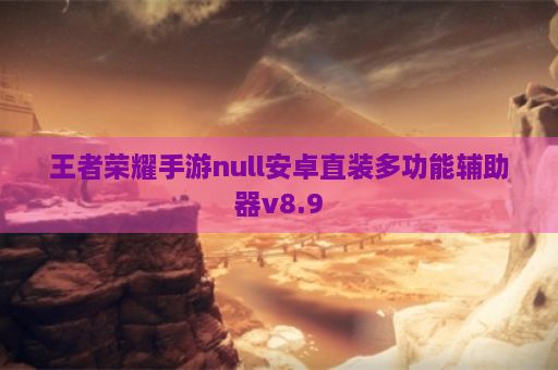 王者荣耀手游null安卓直装多功能辅助器v8.9