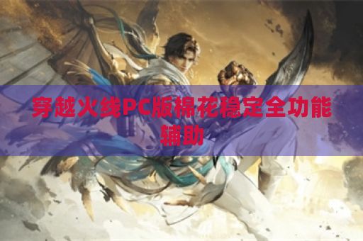 穿越火线PC版棉花稳定全功能辅助