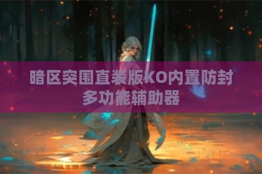 暗区突围直装版KO内置防封多功能辅助器