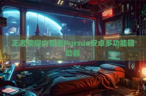 王者荣耀内核版Pursue安卓多功能辅助器