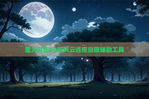 萤火突击PC版风云透视自瞄辅助工具
