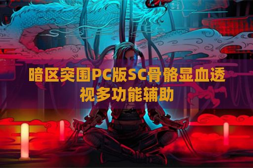 暗区突围PC版SC骨骼显血透视多功能辅助
