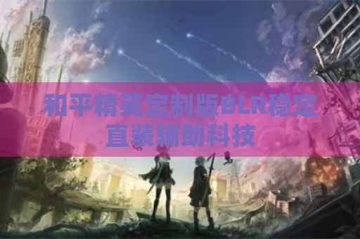 和平精英定制版BLR稳定直装辅助科技