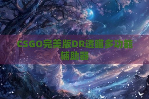 CSGO完美版DR透瞄多功能辅助器
