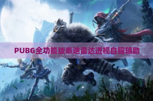 PUBG全功能版泰迪雷达透视自瞄辅助
