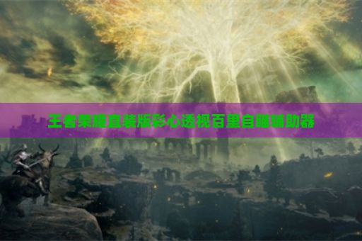 王者荣耀直装版彩心透视百里自瞄辅助器