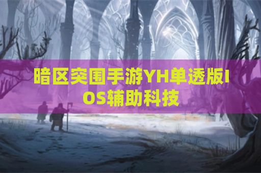 暗区突围手游YH单透版IOS辅助科技