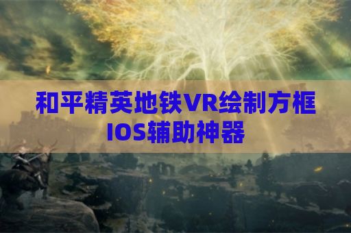 和平精英地铁VR绘制方框IOS辅助神器