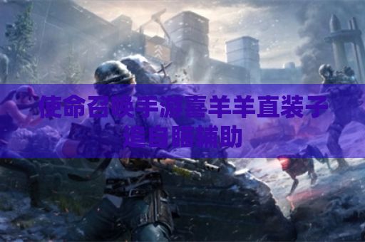 使命召唤手游喜羊羊直装子追自瞄辅助