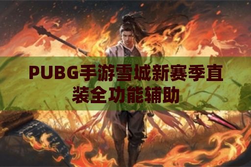 PUBG手游雪城新赛季直装全功能辅助