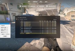CS2-RR辅助工具-透视自瞄范围免费版