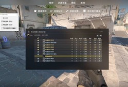 CS2-RK辅助-人物热能透视多功能内存优化版