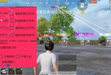和平精英-ZSW外挂-方框自瞄范围直装版