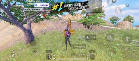 PUBG手游免费直装透视追踪辅助科技v7.3