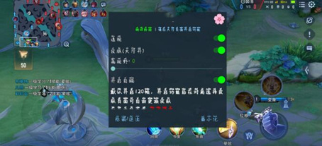 传说对决-TY辅助科技-全图稳定内透先行服免费版