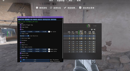 CS2-领航辅助-透视自瞄动态化换肤稳定功能版